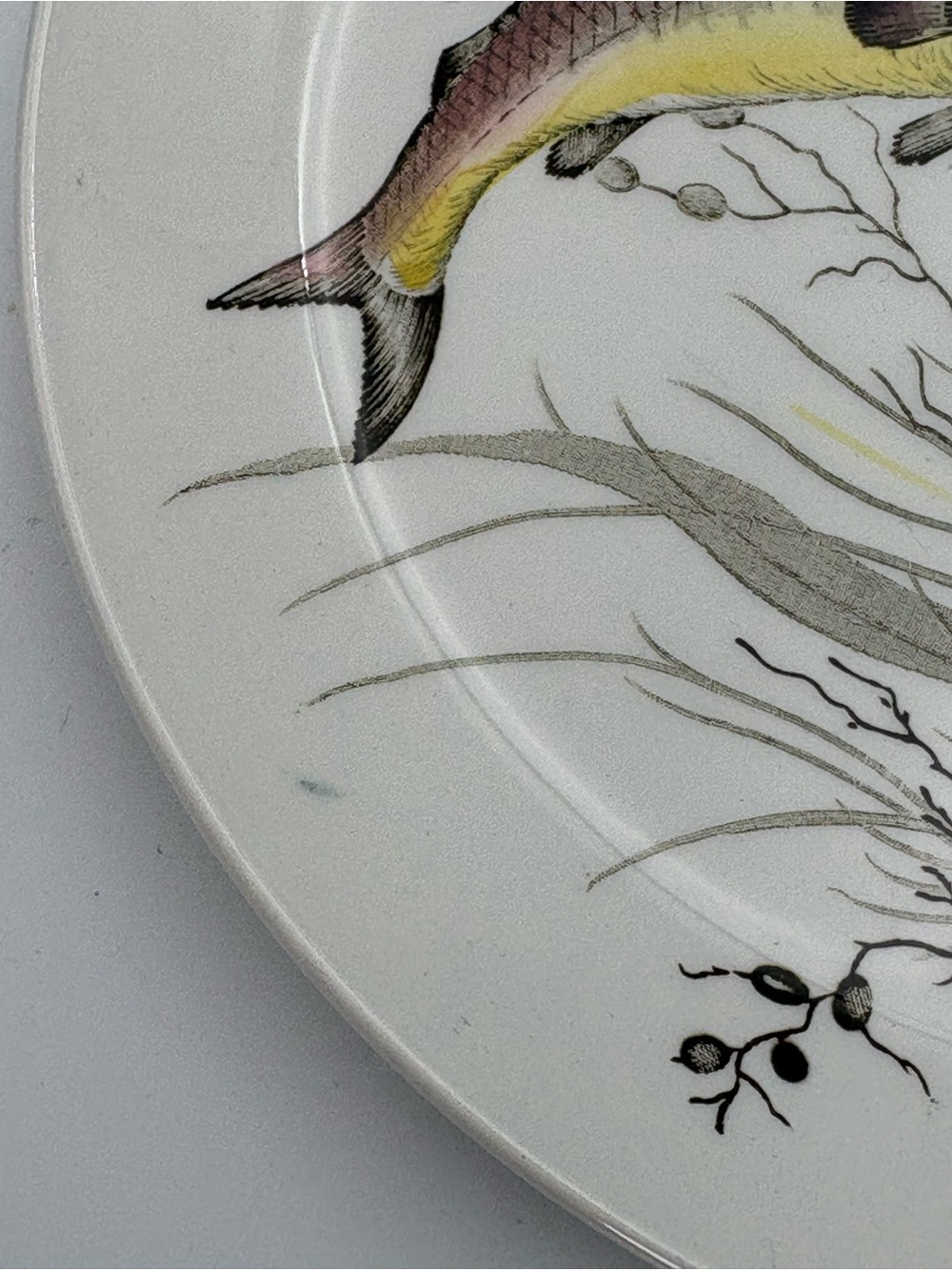 Vintage Johnson Bros. Fish Ceramic Plate Design No. 3 - Made in England - 10” - Picture 7 of 8